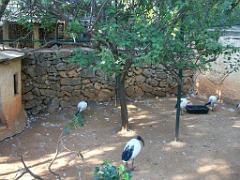 183 D21 SANARY SUR MER 1_000063